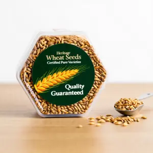 Premium Seed Pack (Wheat)