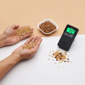 Moisture Check (Basic)